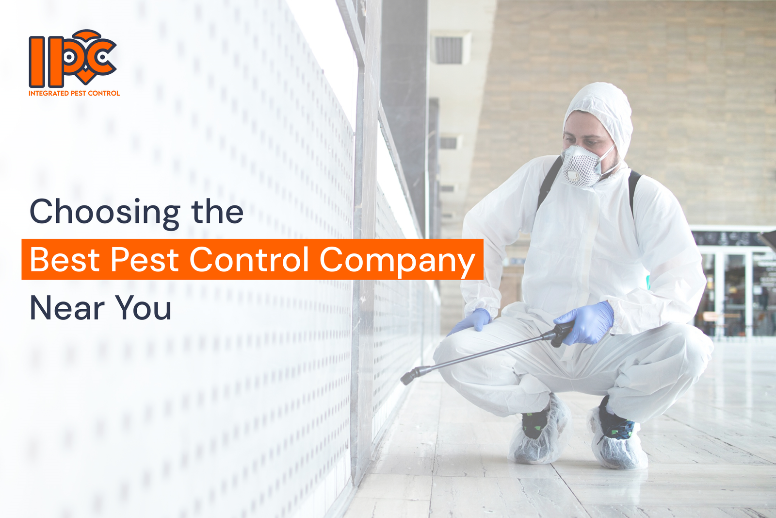 Choosing the Best Pest Control Company Near You