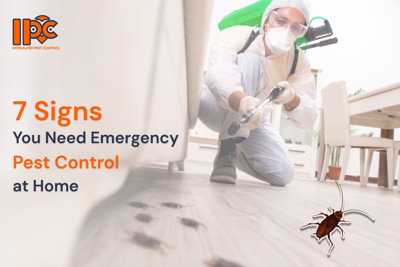 Signs You Need Emergency Pest Control at Home