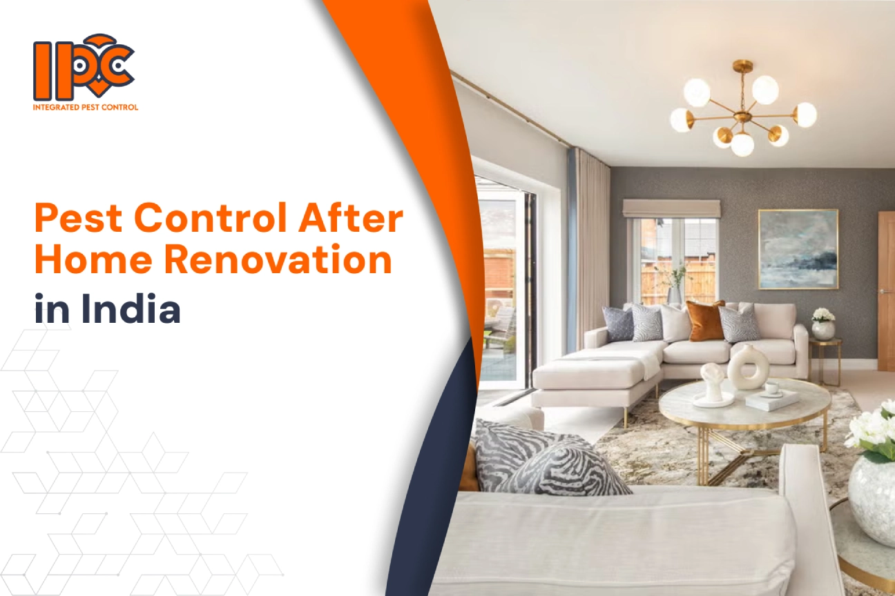 Pest Control After Home Renovation India | IPC Bharat