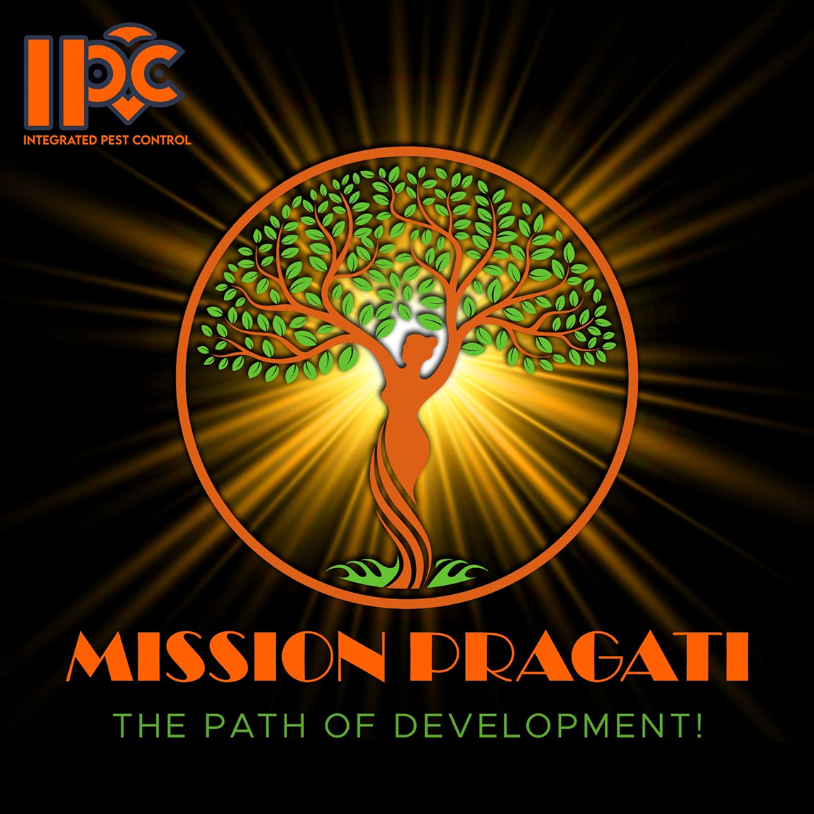 about_logo_animation